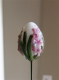 Blomsteræg - Hyacinther