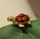 Skildpadde 15 - Rustfarvet