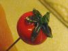 Knaldrød tomat